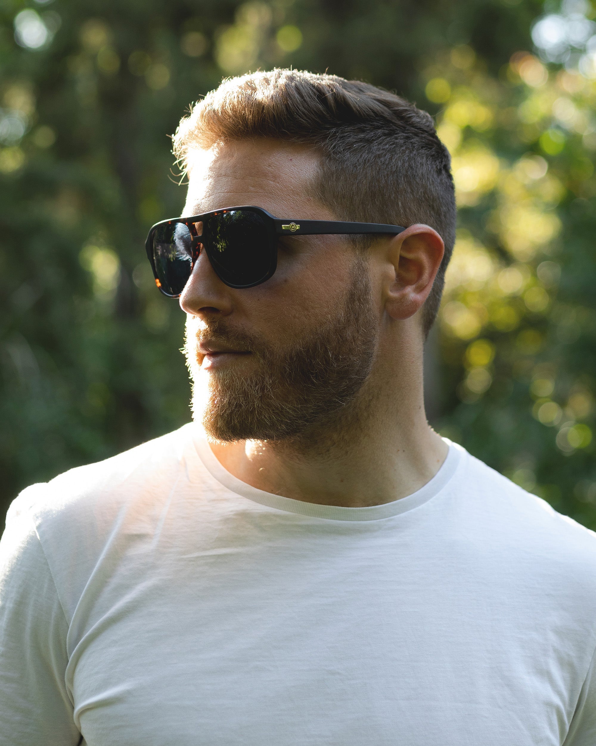 Base Camp Black Tortoise / Blue