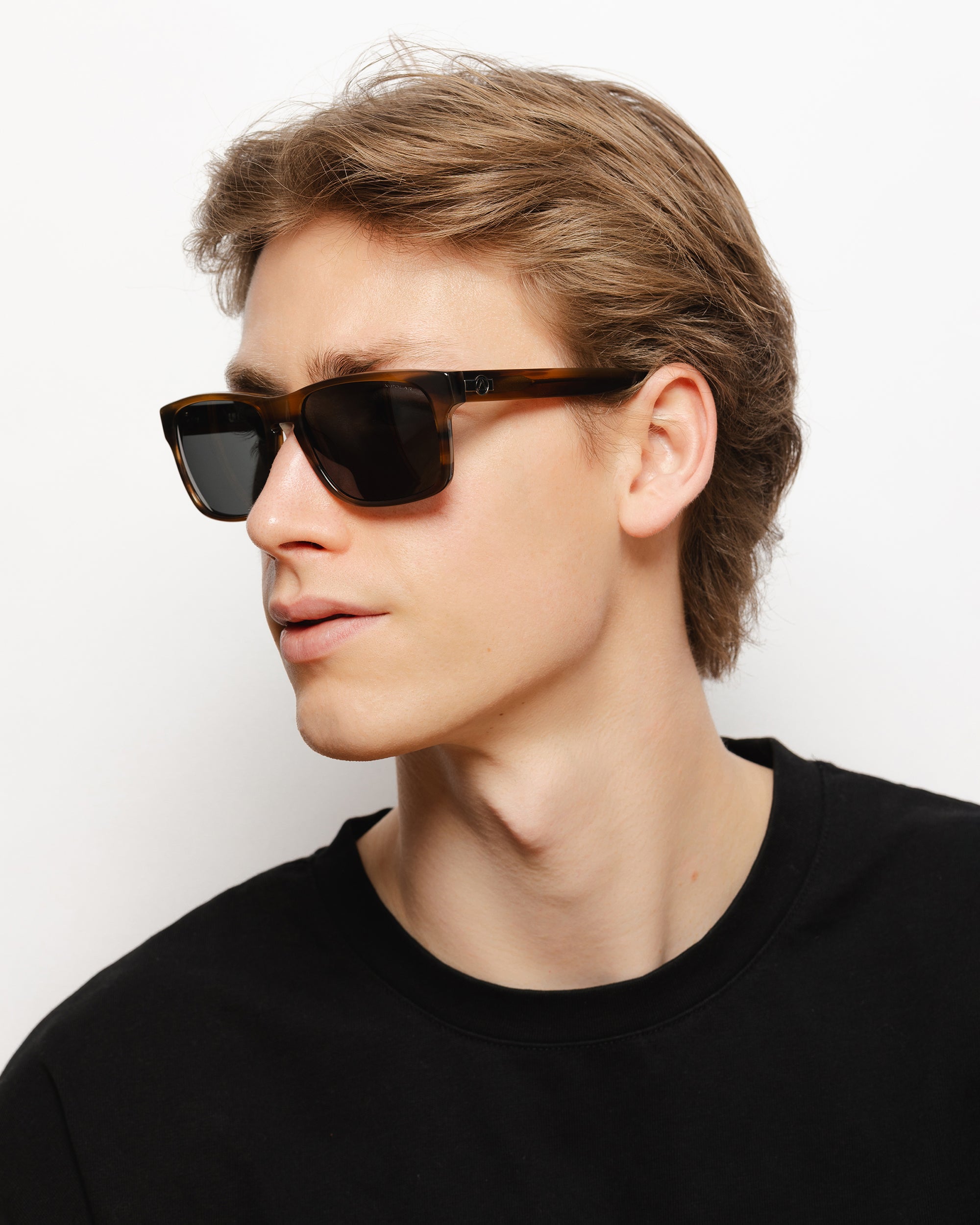 Backside Brown Tortoise / Black