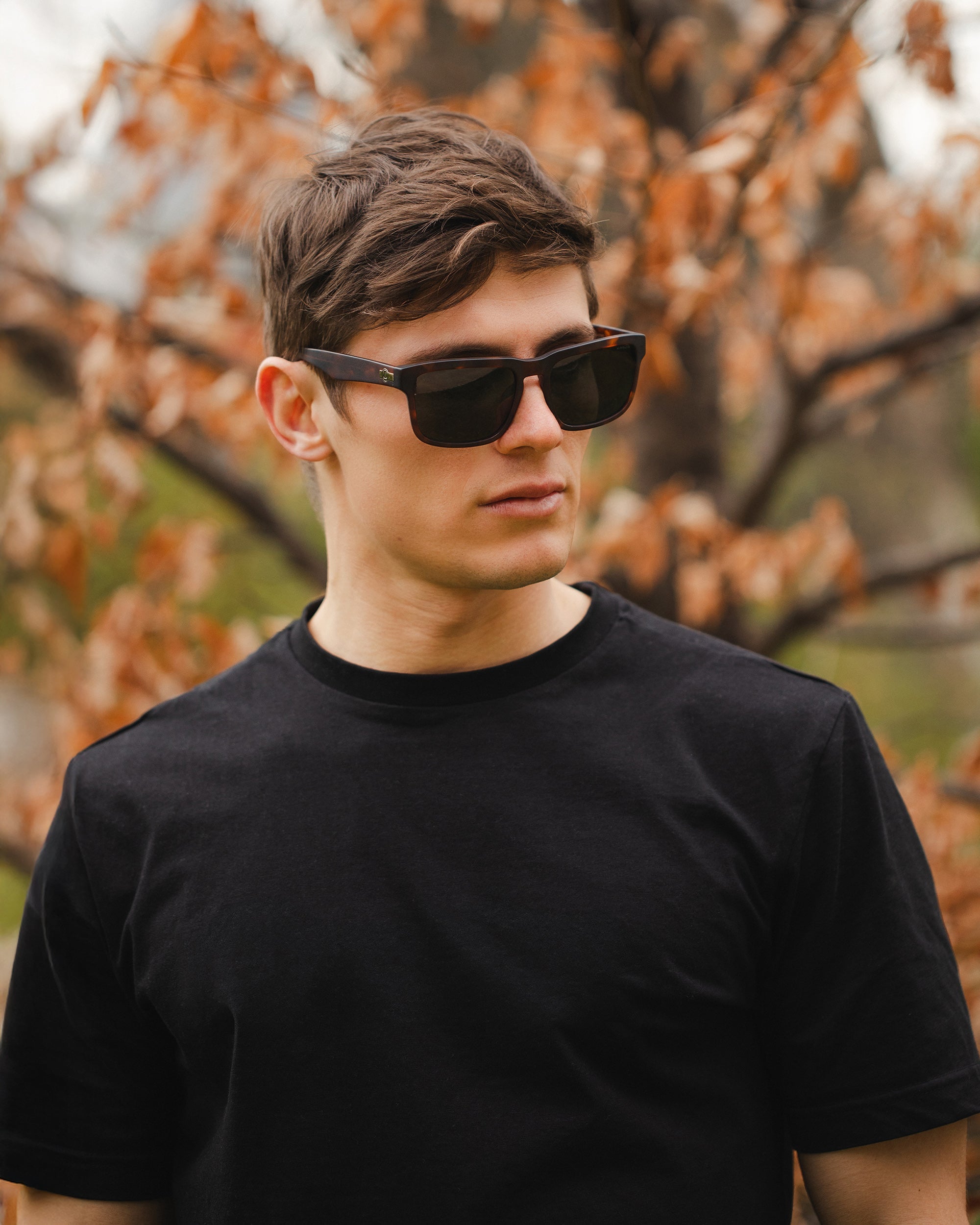 Artic Brown Tortoise / Black