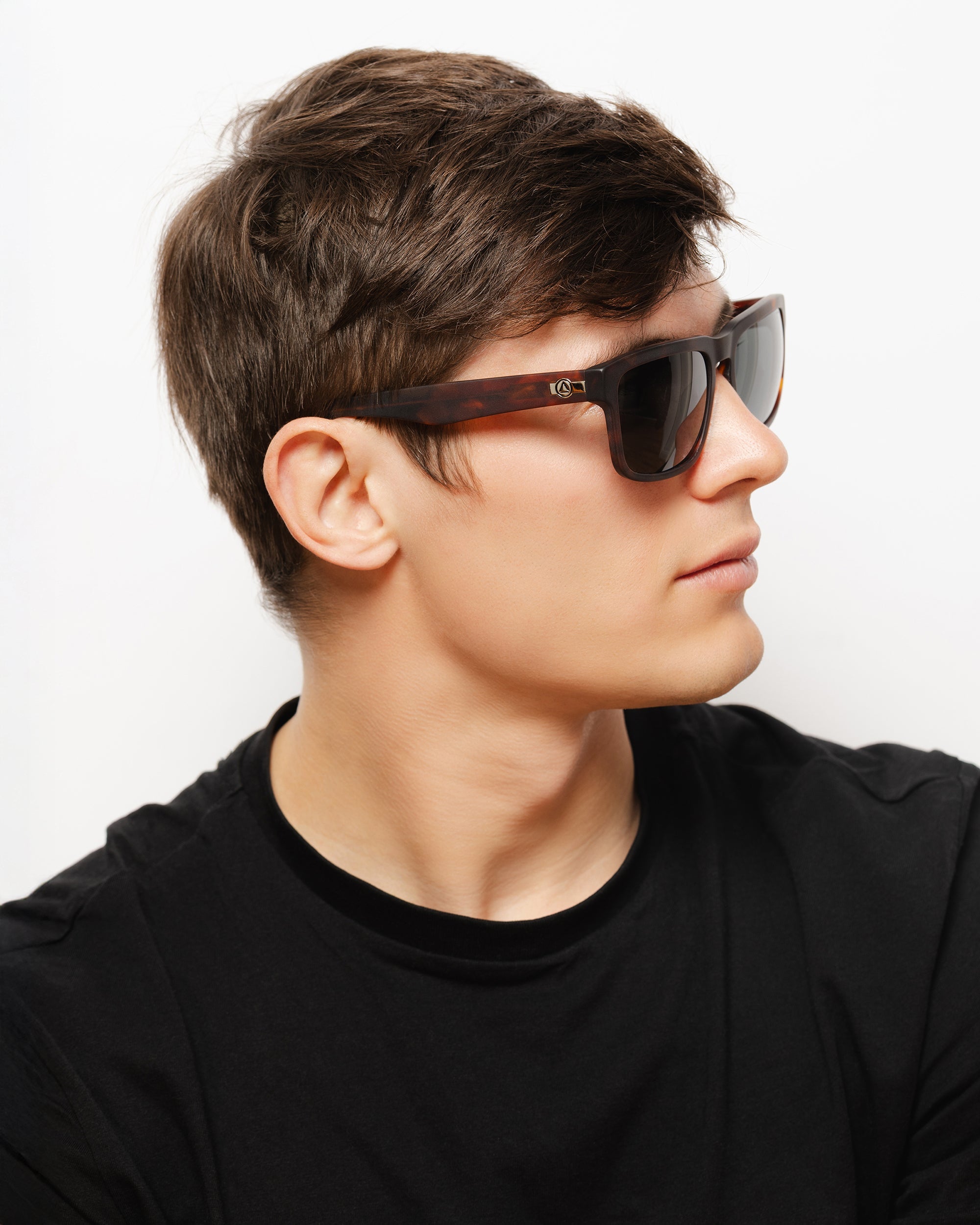 Artic Brown Tortoise / Black