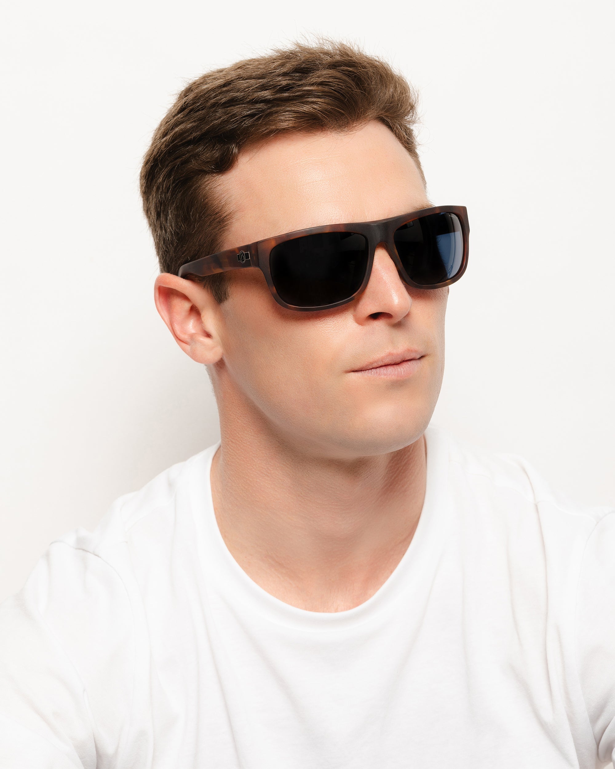 Alpine Brown Tortoise / Blue