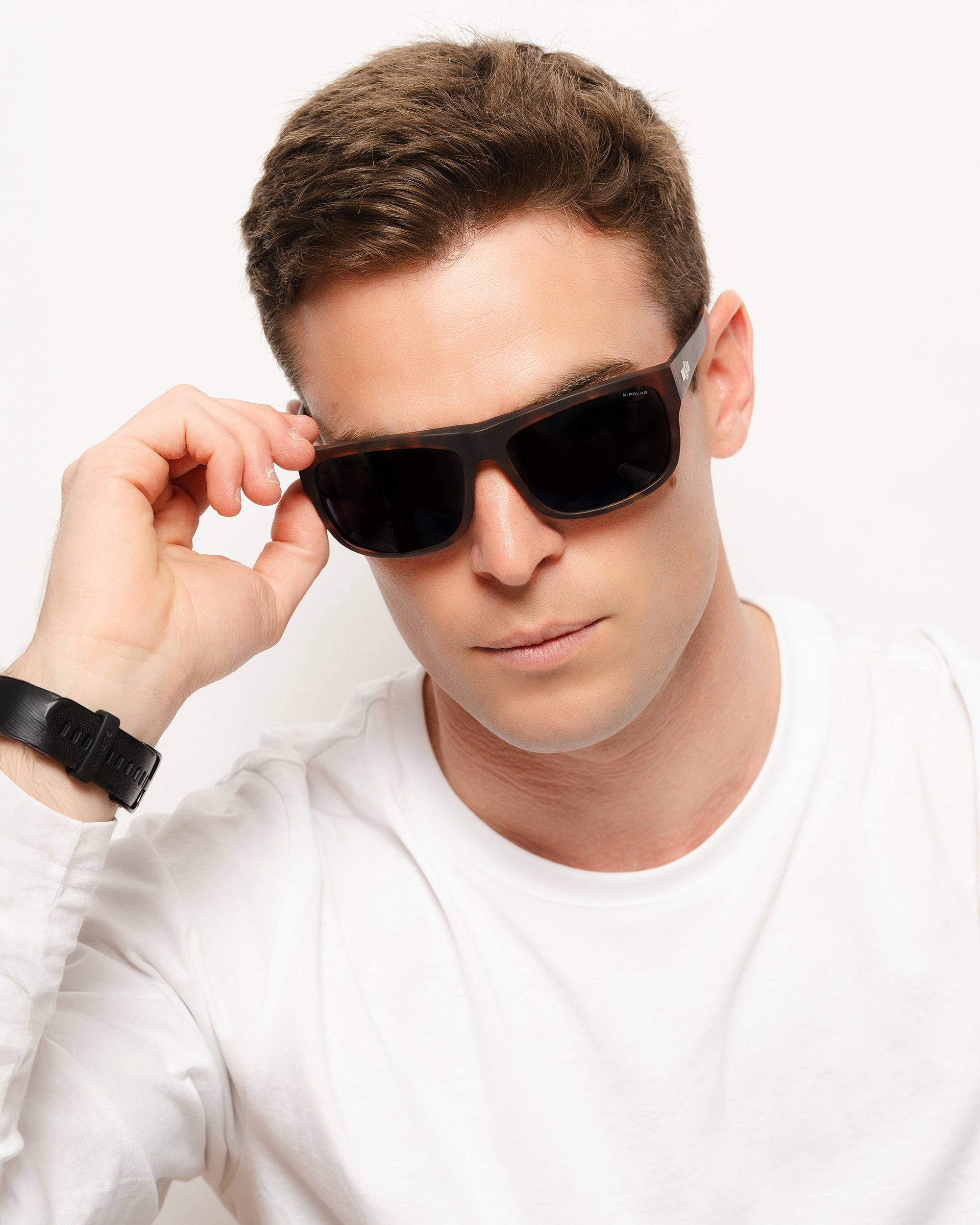 Alpine Brown Tortoise / Blue