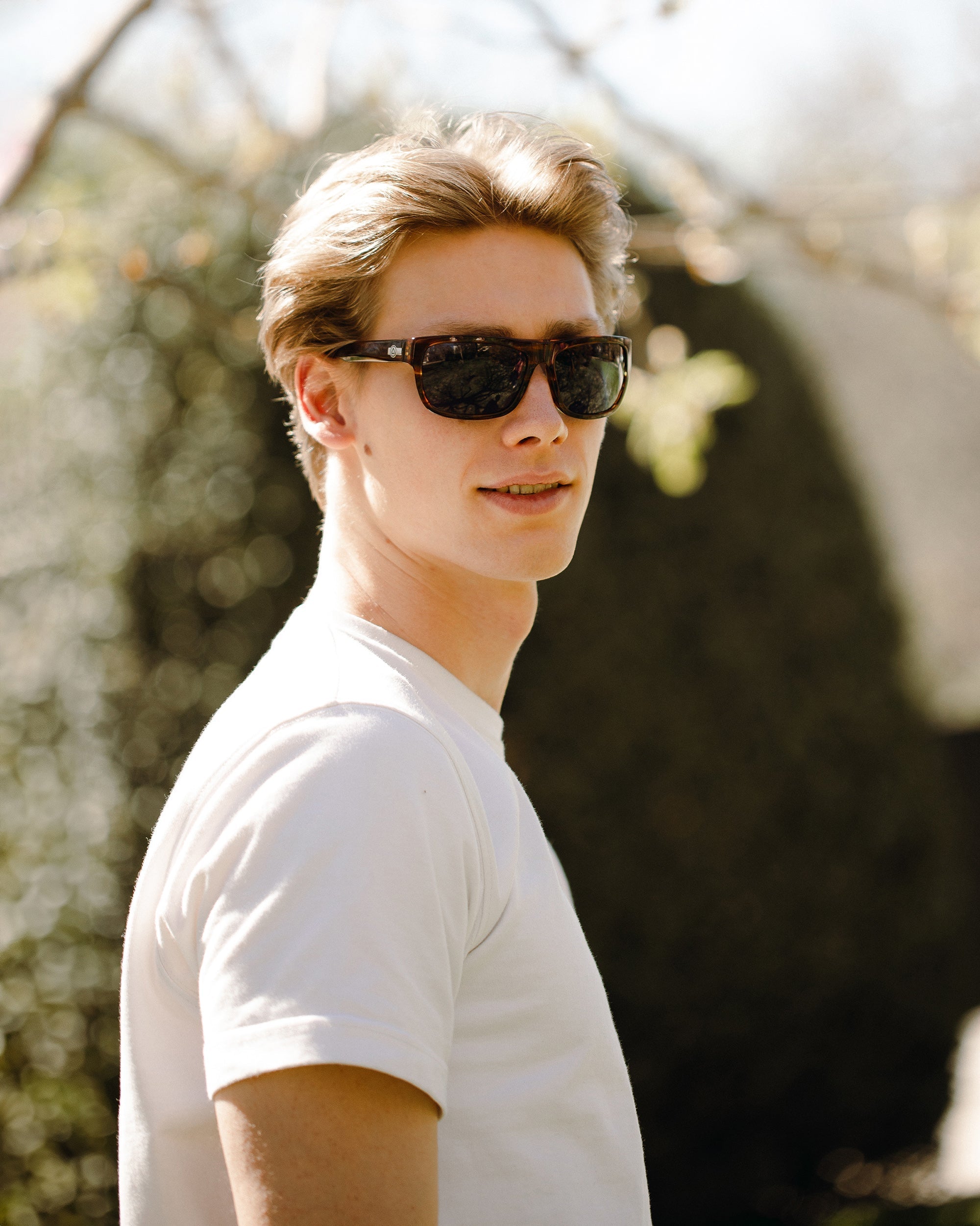 Alpine Brown Tortoise / Blue