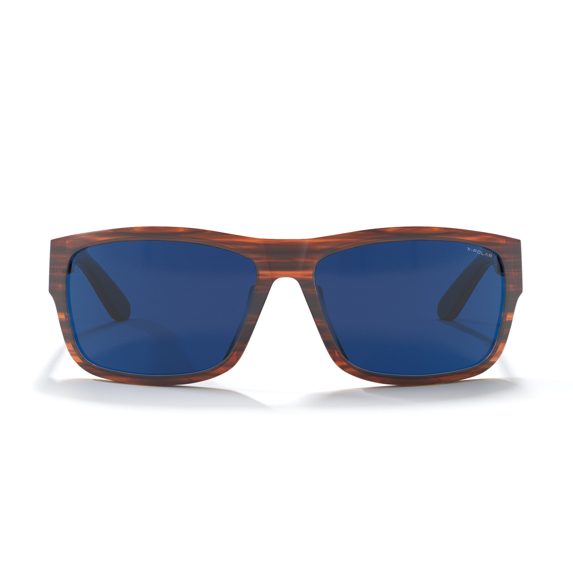 Alpine Brown Tortoise / Blue