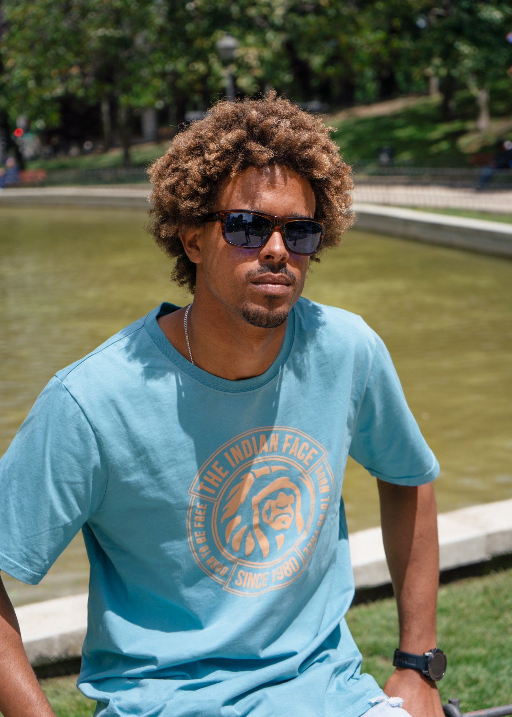 Alpine Brown Tortoise / Blue