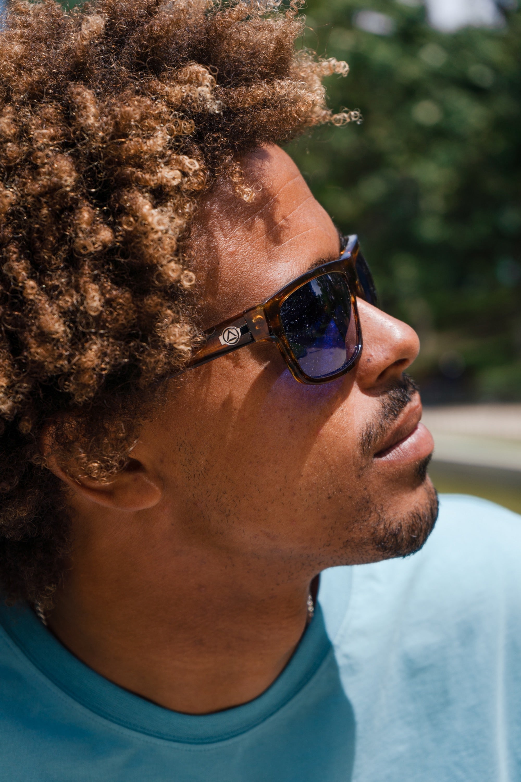 Alpine Brown Tortoise / Blue