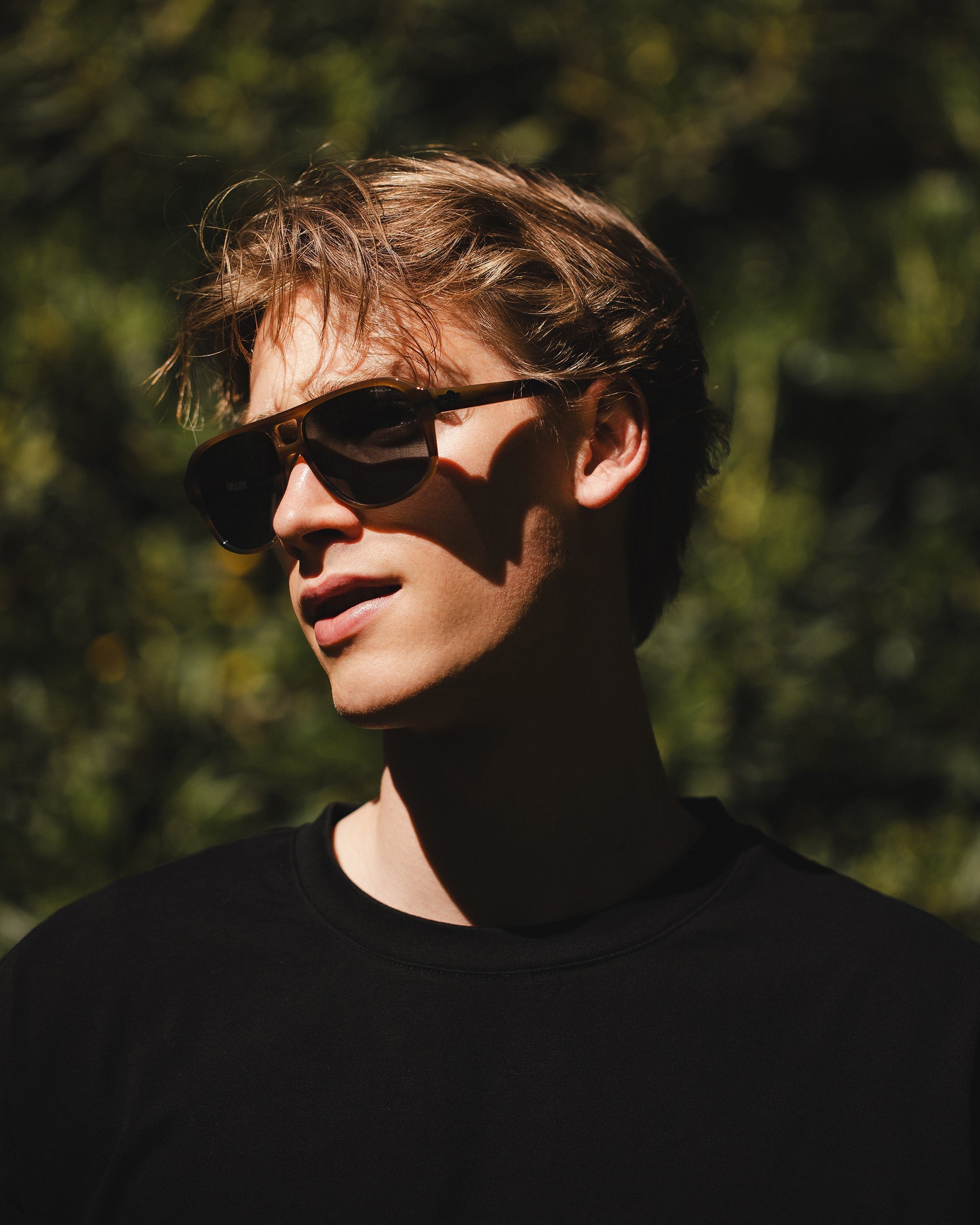 Base Camp Brown Tortoise / Black