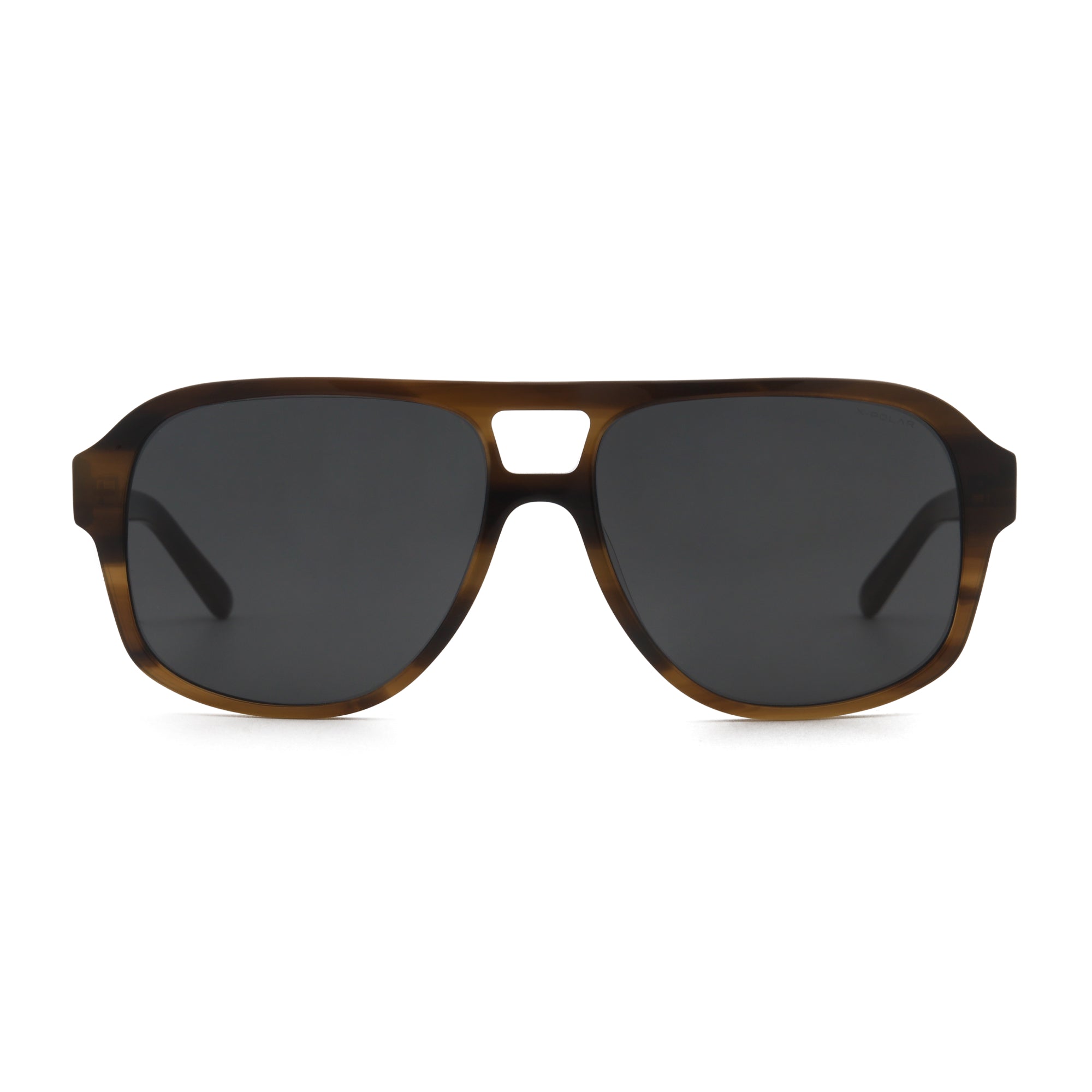 Base Camp Brown Tortoise / Black