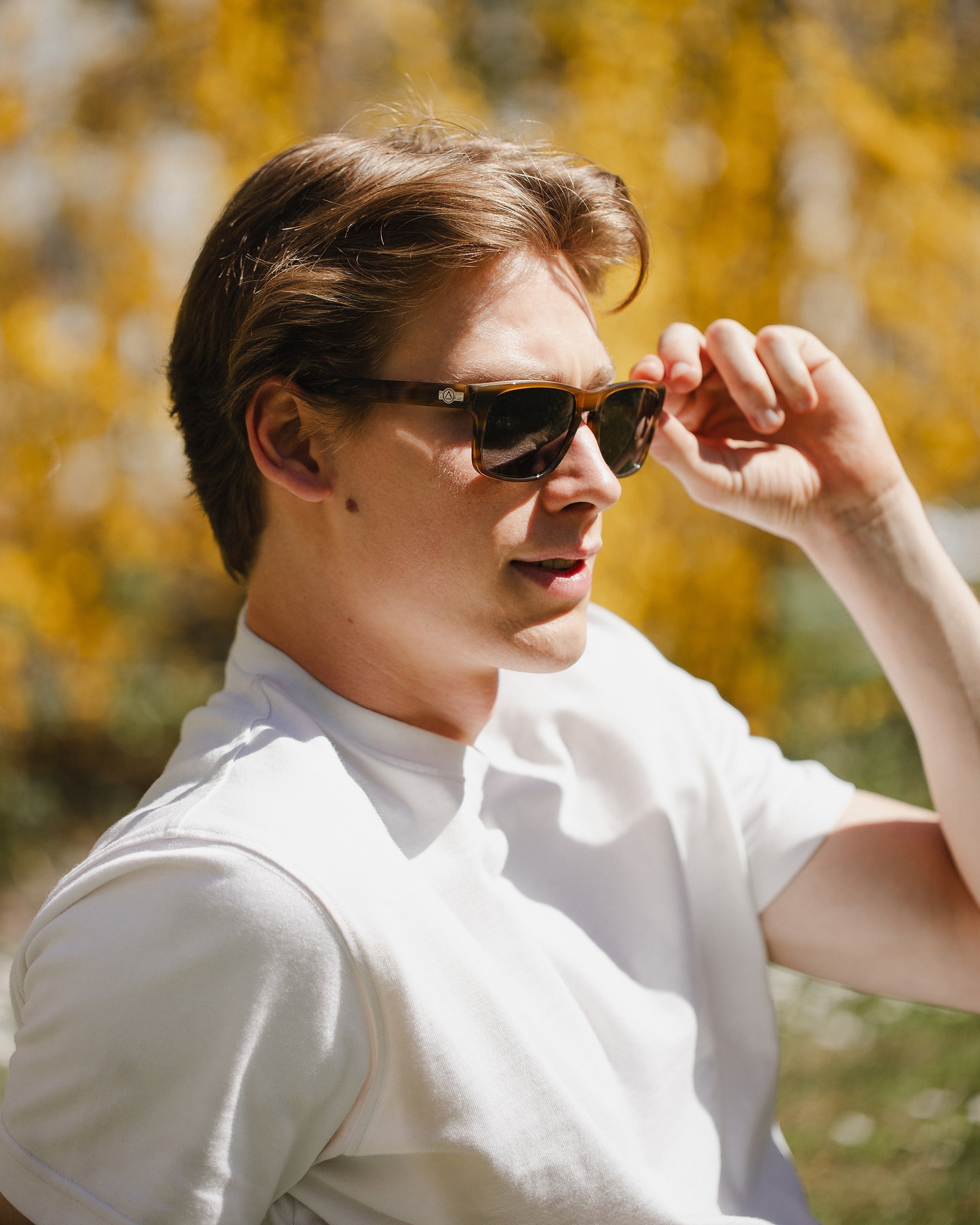 Backside Brown Tortoise / Black