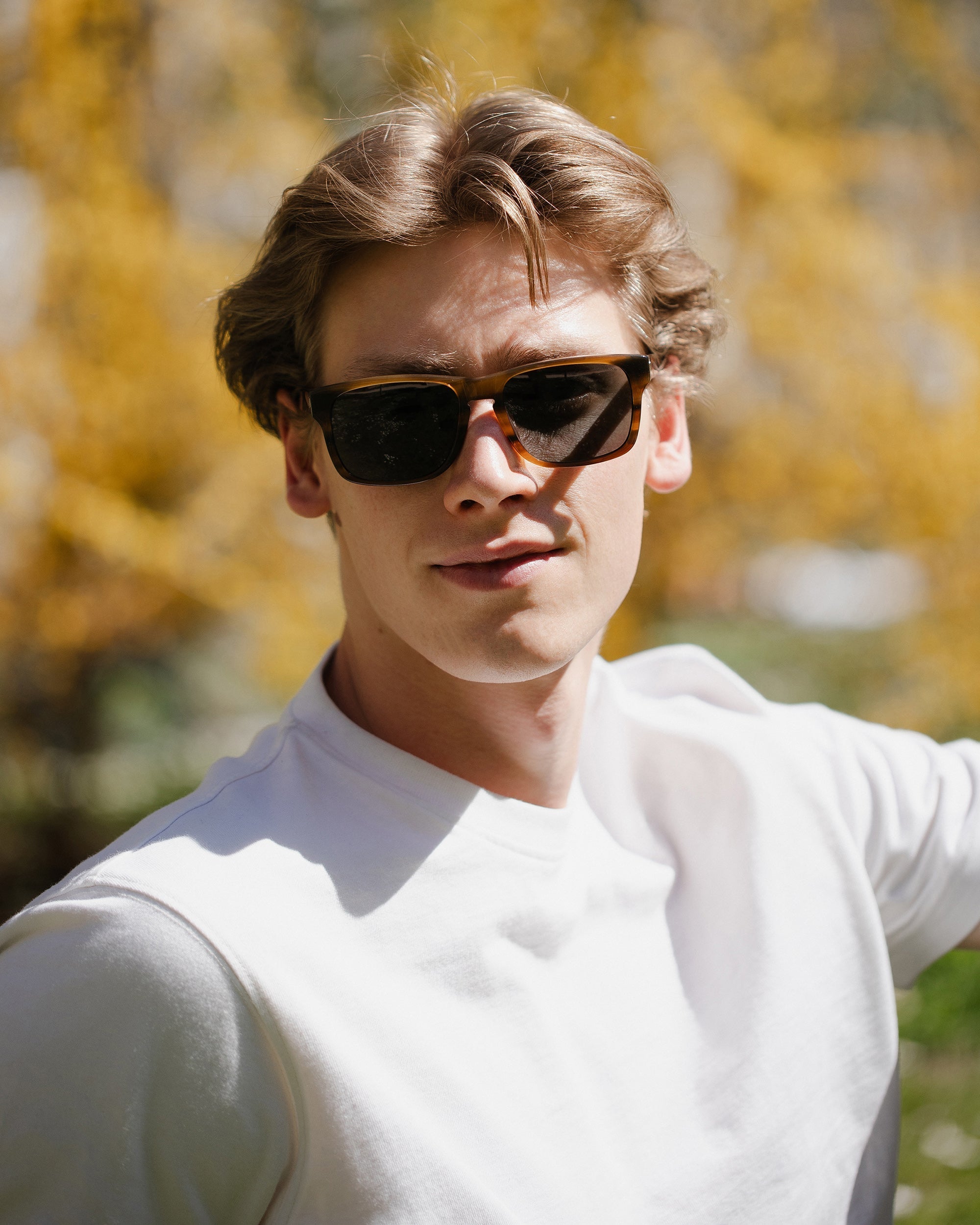 Backside Brown Tortoise / Black