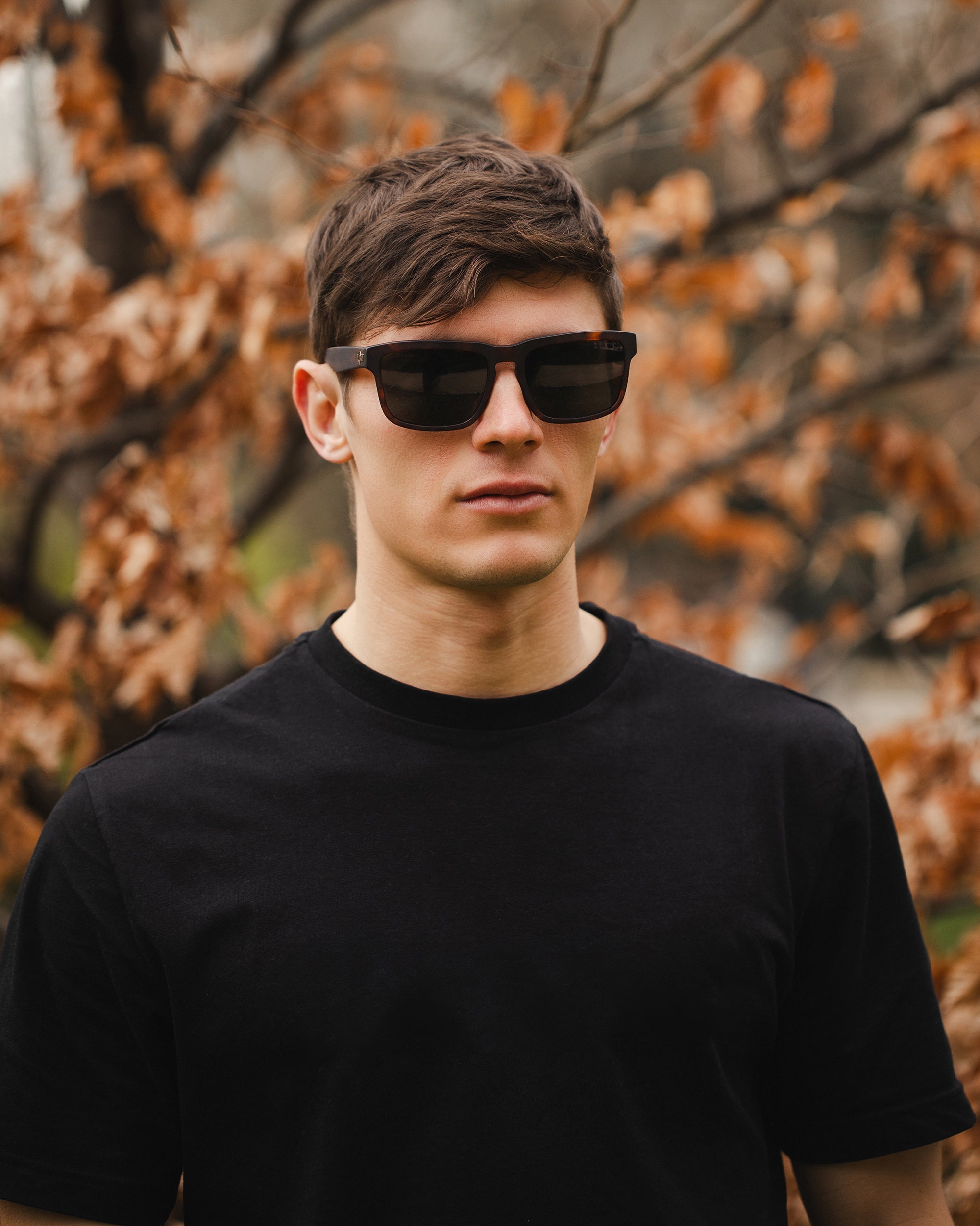 Artic Brown Tortoise / Black