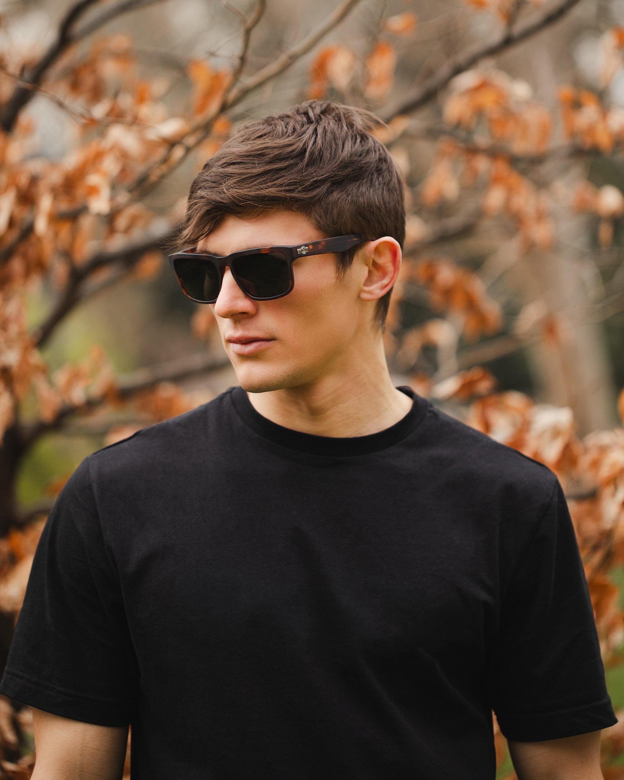 Artic Brown Tortoise / Black