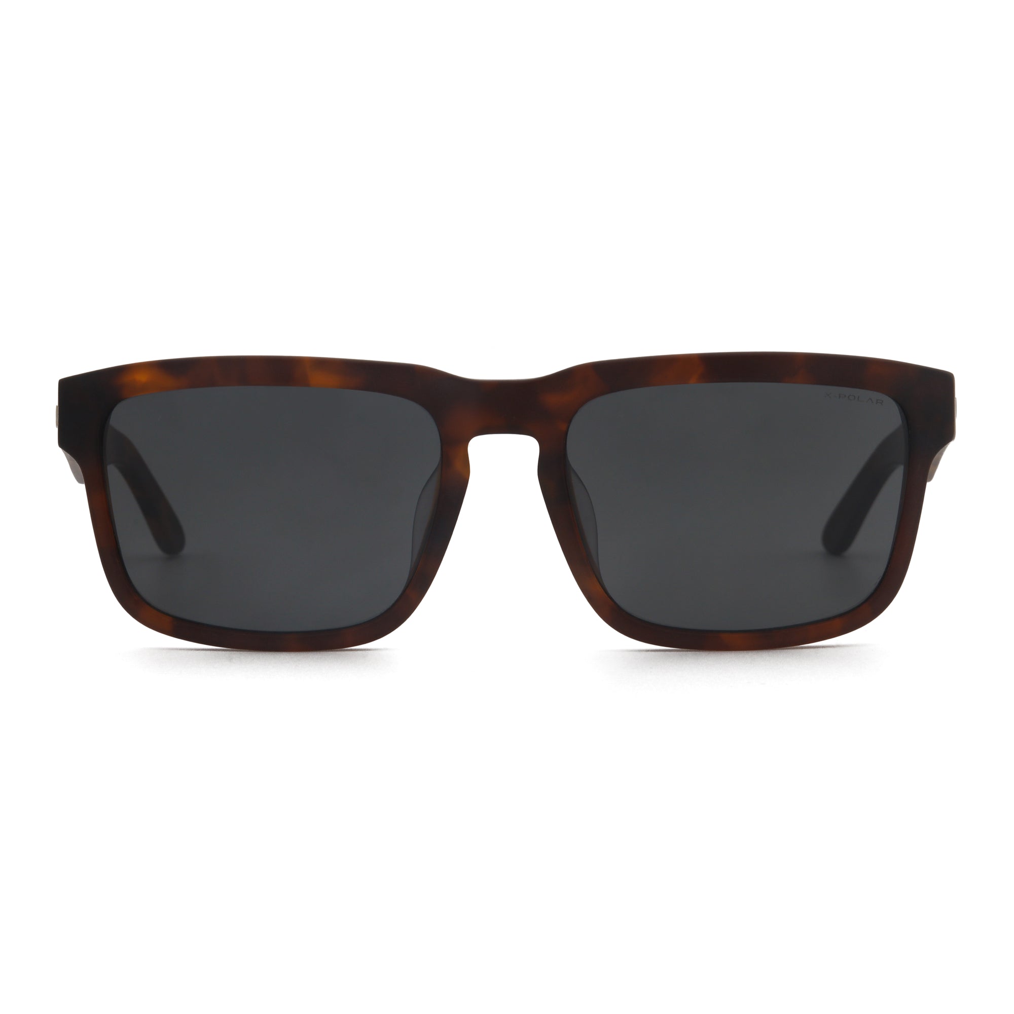Artic Brown Tortoise / Black