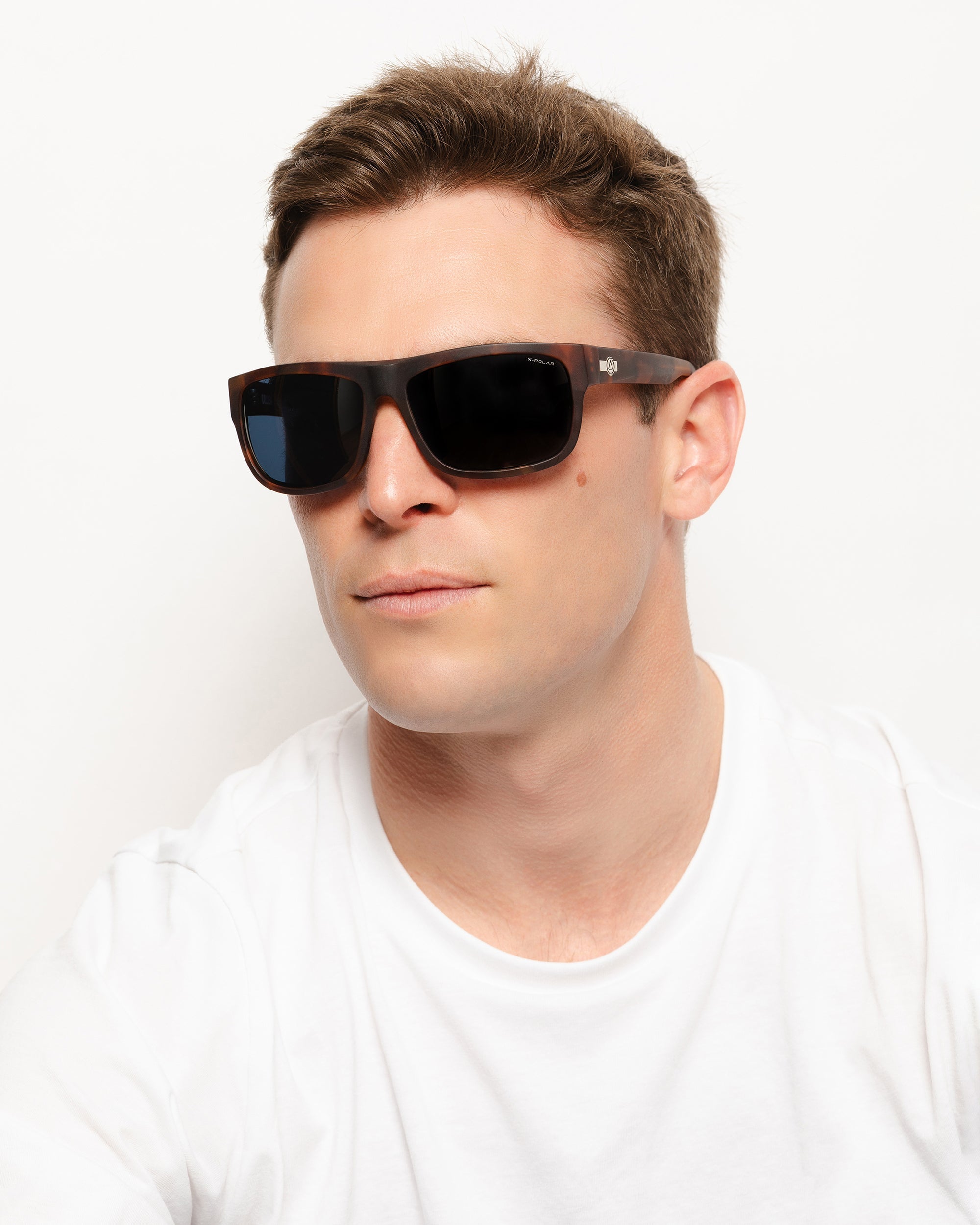 Alpine Brown Tortoise / Blue