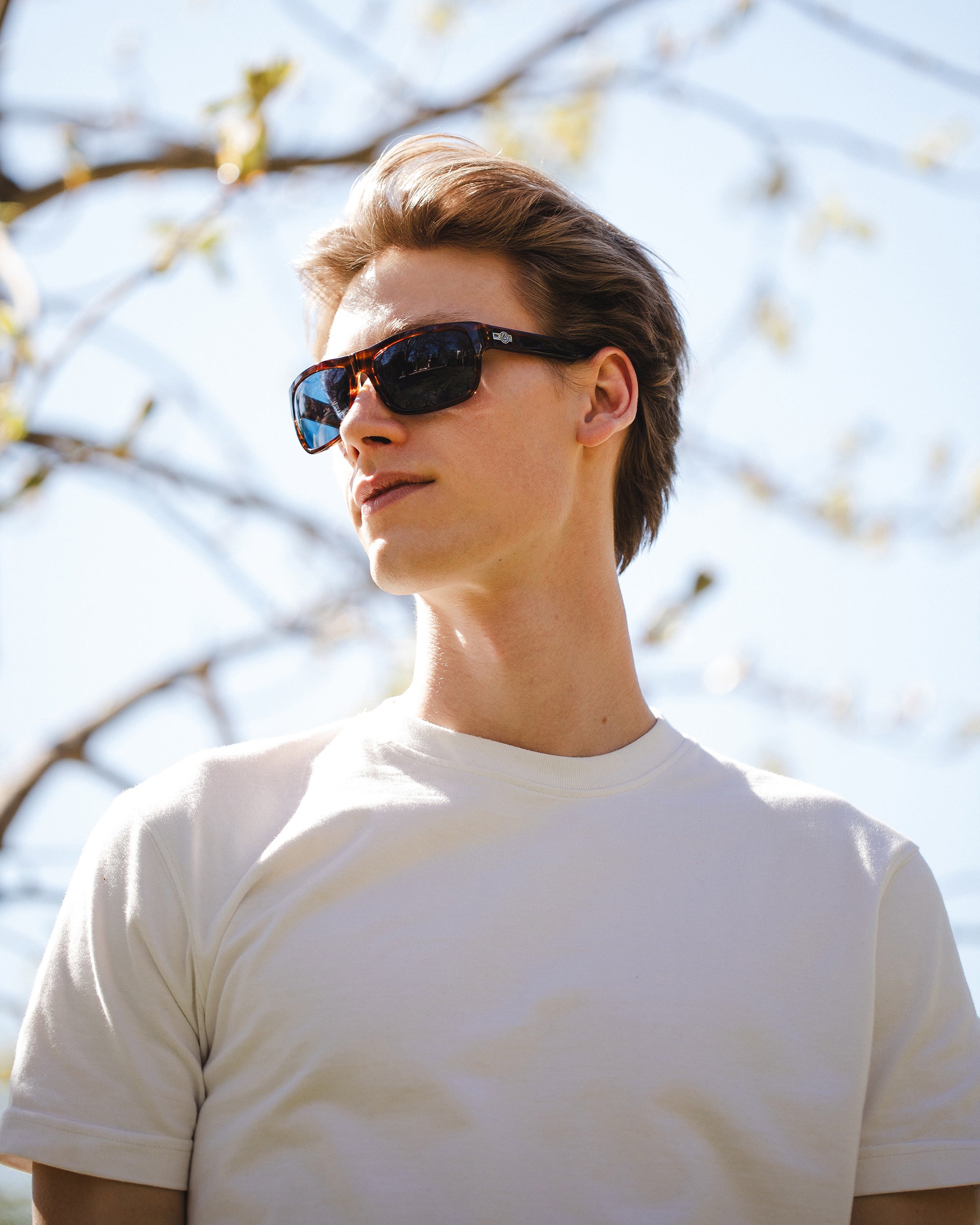 Alpine Brown Tortoise / Blue