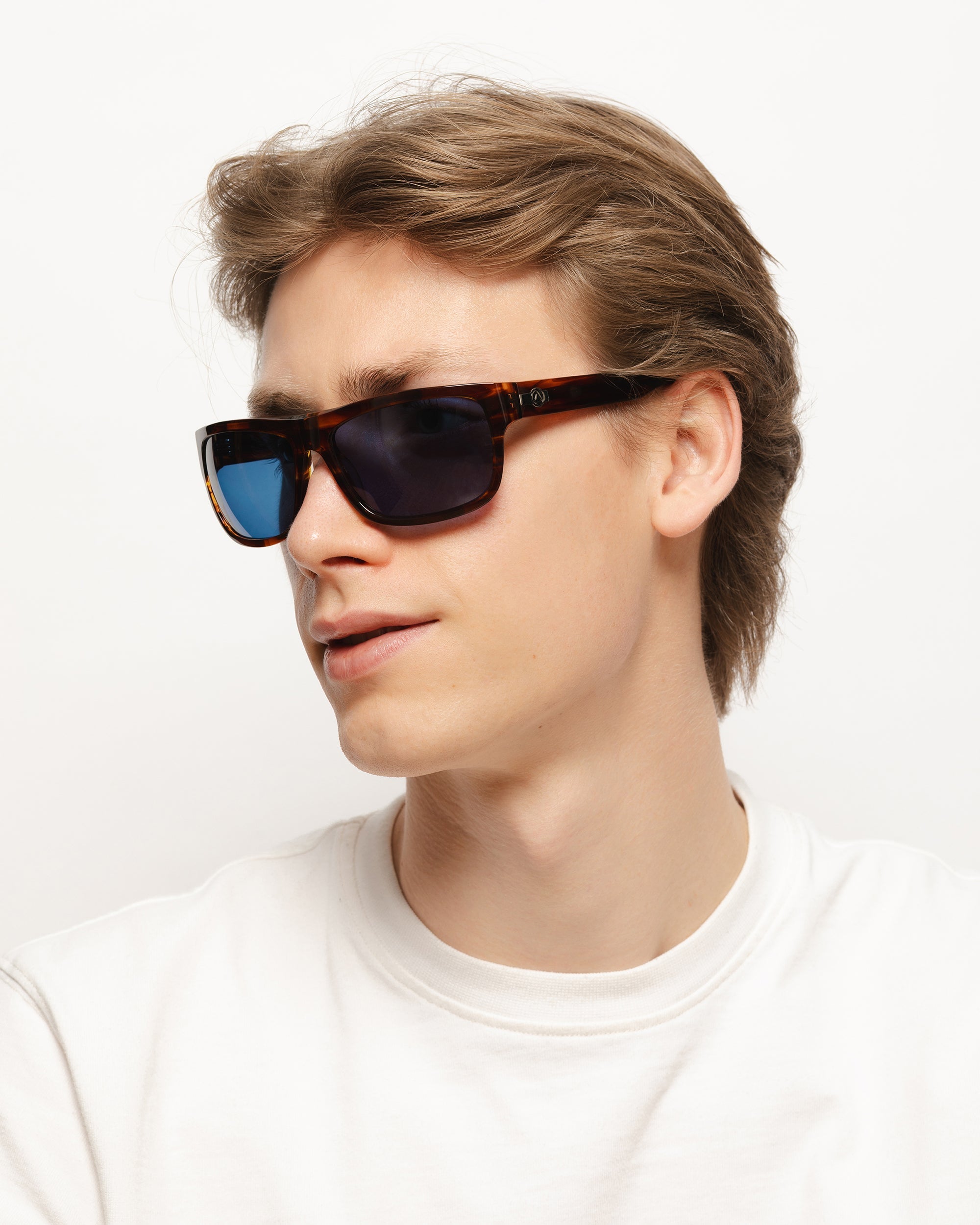 Alpine Brown Tortoise / Blue